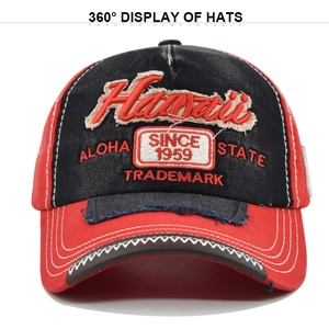 Detailed embroidery on vintage red and black baseball cap with Hawaii theme