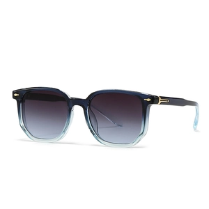 Moderne quadratische Sonnenbrille mit blau-schwarzem Rahmen und goldenen Metalldetails