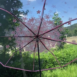 Transparent umbrella with pink cherry blossom pattern and black frame against blue sky