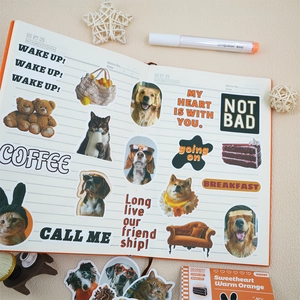 Cute Korean retro PET sticker set with animals, desserts, and motivational phrases for journals