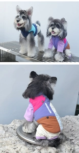 Detail of waterproof pet vest featuring dual D-rings and reflective safety strips
