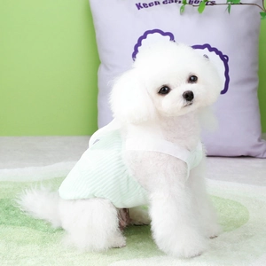 Detail of light green knitted pet dress with ruffled hem on a small white dog