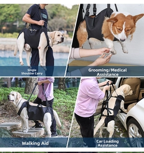 Adjustable dog lift harness for rehabilitation, mobility support, and elder dog assistance