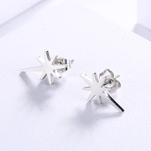 Close-up of silver North Star stud earrings with brushed metal finish for women