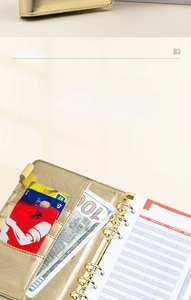 Internal layout of gold Macaron binder with card slots and Budget Sheet pages