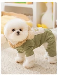 Close-up of green quilted dog jumpsuit with cozy fleece collar on a Bichon Frise