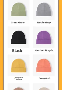Detailed grid view showcasing diverse knit beanie colors including green, grey, and orange