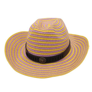 Striped Straw Cowboy Hat With Bull Head Metal Decor Wide Brim Sun Protection Summer Beach Western Hat For Women Men