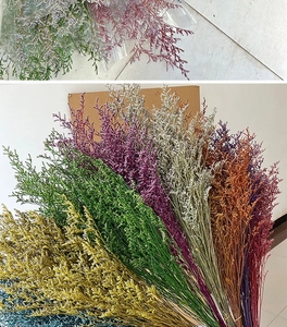 Assorted colorful dried Limonium flowers for DIY crafts in multiple vibrant shades
