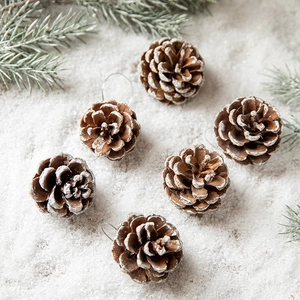 Set of 6 natural pine cone Christmas ornaments with white snow tips and silver hanging strings