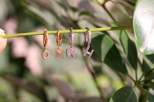 Close-up of gold and silver letter earrings with sparkling cubic zirconia on green leaves