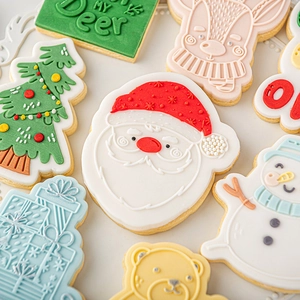 Christmas themed cookie set with Santa, reindeer and tree shapes on light background