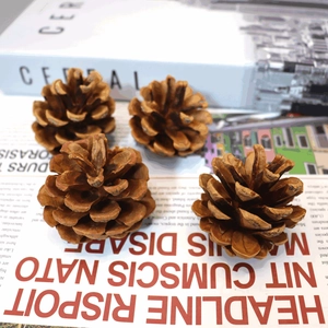 Macro shot of natural pine cones on newspaper background for rustic home decor and photography
