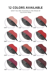 Detailed palette of 12 matte lipstick shades in creative lip-shaped containers