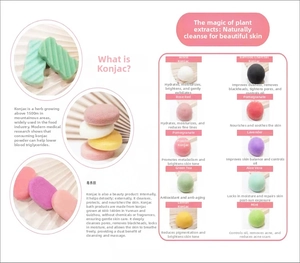 Matrix showing 10 natural biodegradable konjac sponges for deep facial cleansing and exfoliation