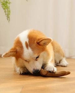 Macro shot of a Corgi dog chewing a durable wood-like dental stick toy in a cozy home setting