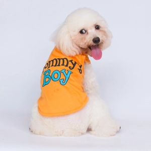 Orange dog t-shirt featuring Mommy's Boy print for small pets in a studio setting