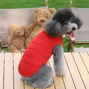 Quilted red pet vest for dogs and cats on a gray poodle, stylish autumn winter pet apparel