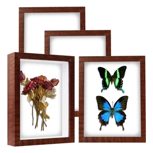 Set of 4 dark wood square shadow box frames with 3D depth for dried flowers and specimens