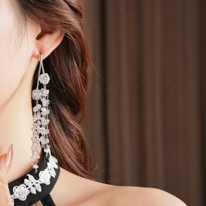 Close-up of model wearing silver crystal tassel earrings with sparkling stone details