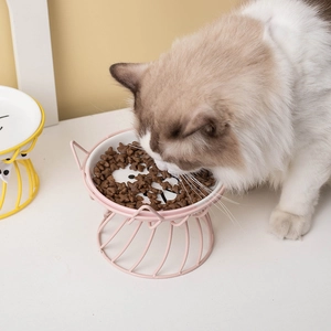 Elevated ceramic cat bowl with pink iron stand for ergonomic feeding and neck protection