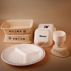 Eco-friendly biodegradable sugarcane pulp plates and cups set for catering and DIY events