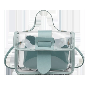 Minimalist clear PVC jelly handbag for women featuring blue leather pouch and gold hardware