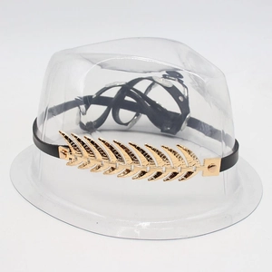 Detail of a vintage ethnic style hat band with golden metal feathers and black cord
