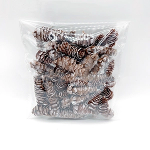 Bulk decorative white frosted pine cones in clear packaging for Christmas DIY crafts