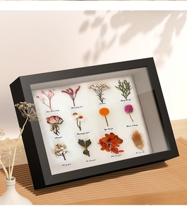 Detailed macro view of black wooden shadow box frame with preserved dried flower specimens
