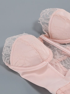 Detail of pink floral lace and eyelash trim on bustier dress with satin paneling