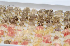 Detail of assorted raw natural gemstones with gold handmade wire wrapping in a display case