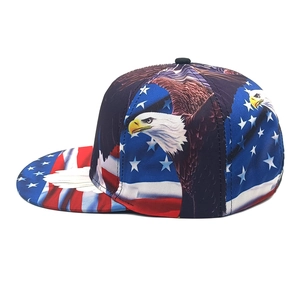 Detail of eagle and American flag print on a flat brim snapback baseball cap