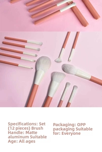 Detail von 12er-Make-up-Pinsel-Set mit weichen Borsten und mattrosa Griffen