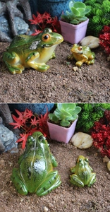 Detailed view of two green resin frogs in a miniature landscape garden with succulents