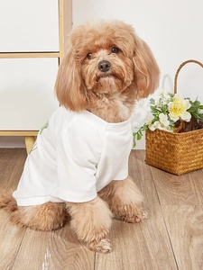 Brown poodle wearing a white mesh pet T-shirt with cute colorful prints in a home setting