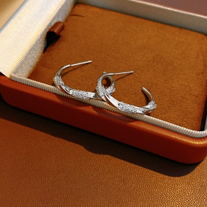 Macro shot of silver C-shaped twist earrings with white zircon paving on display box