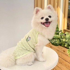 Close-up of light green breathable mesh pet vest with embroidery on a Pomeranian