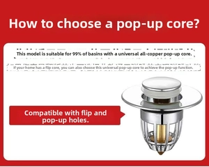 Close-up of universal brass basin pop-up core filter with chrome finish and spring