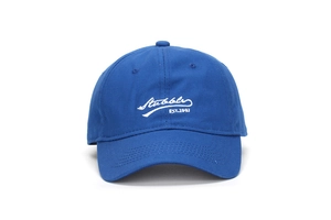 Gros plan sur la broderie blanche Stubble EST.1993 sur la casquette en coton bleu marine