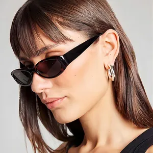 Retro Oval Sunglasses UV400 Protection PC Frame AC Lens Small Frame Y2K Fashion Outdoor Eyewear Women Men