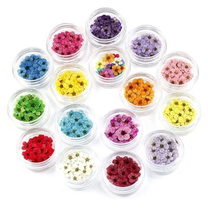 Macro detail of 16 mini jars filled with colorful dried flowers for nail art decoration