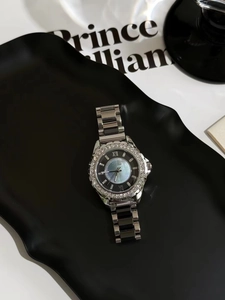 Detailed shot of silver steel watch with diamond-set bezel and black mother-of-pearl dial
