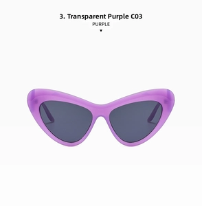 Detailed front view of retro cat-eye sunglasses with transparent purple frames and dark lenses
