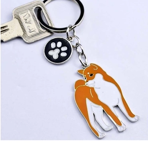 Detail view of Akita dog enamel charm and paw print pendant on a metal keychain