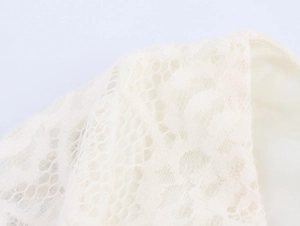 Nahaufnahme der eleganten weißen floralen Spitzentextur mit feinem Netz und Futter