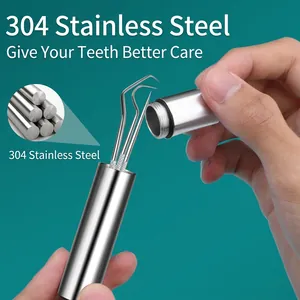 Portable 304 stainless steel toothpick set with metal storage case and cleaning tools