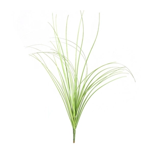 Nordic artificial green onion grass with long slender leaves on a white background