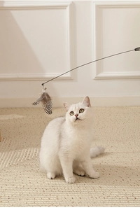 Detail of extra long wand with natural spotted feathers and bell for active cat play