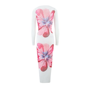 Detail of white mesh maxi dress featuring pink floral print and sheer long sleeves